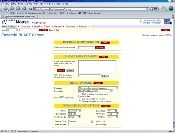 Ensemblの画面